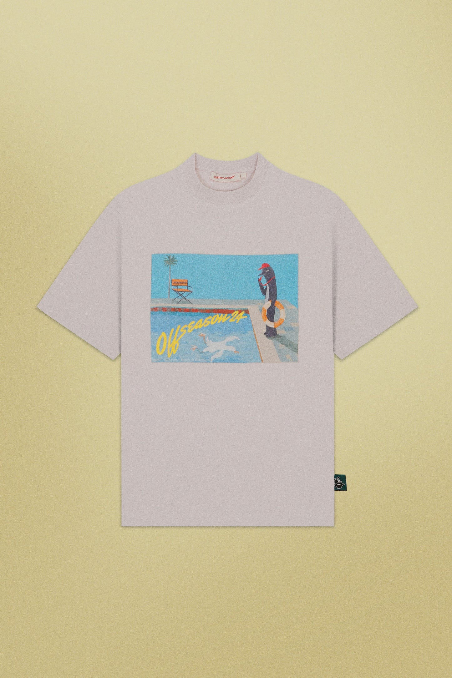 Pool Skimmer